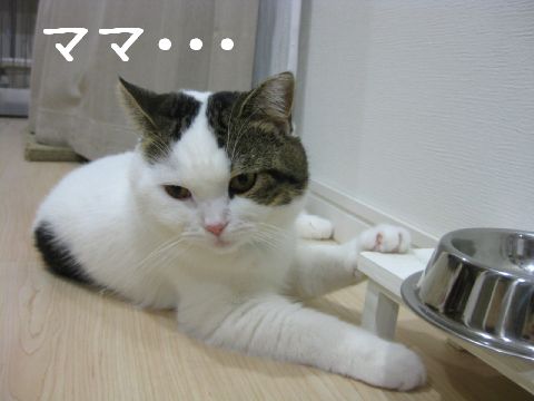 ねぇねぇ