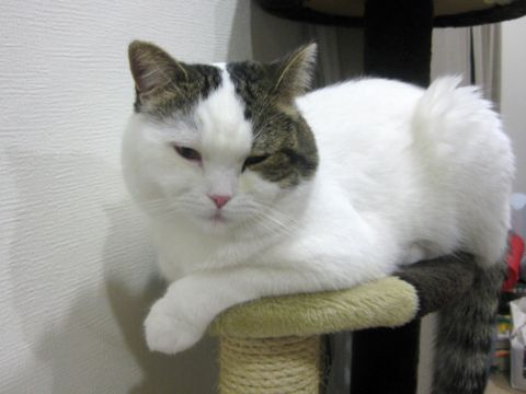 狭いけど・・・