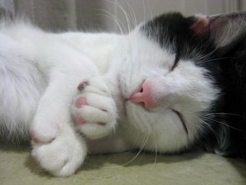 笑ってる・・・