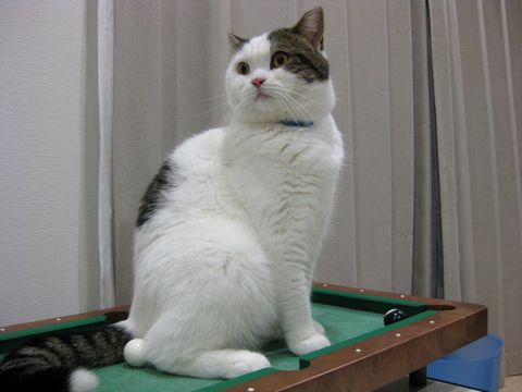 何か気になる
