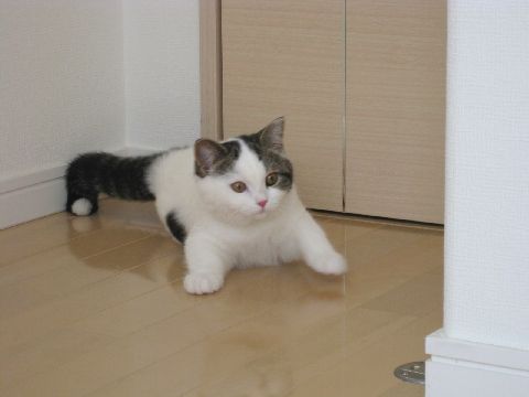 んんっ？！