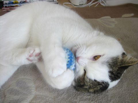 足も出てきた！