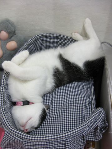 寝相が・・・