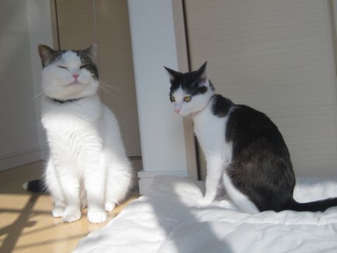 気持ちいいなぁ～