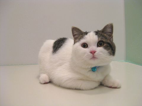 鈴しか見えてないよ