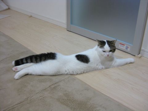まだかな