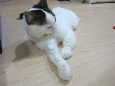 濡れた～～ 2