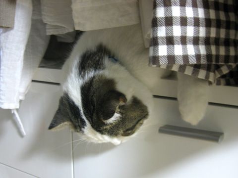 垂れるにもちょうどいい