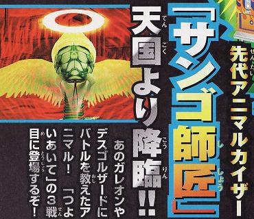 アニマルカイザー サンゴ師匠 激レア アニマルカイザー 究極レア サンゴ師匠 - メルカリ