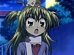□きらりん☆レボリューション (2007年11月30日18:00～18:30