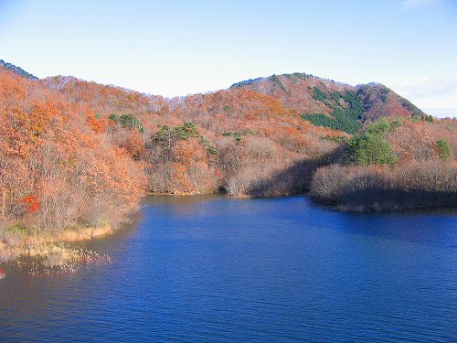 2008.11.10 MKダムワカサギ釣行 橋の上から120匹UP～♪  くもり時々スモールマウス、きっと晴れるよ。 - 楽天ブログ