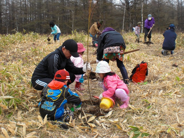 シマフクロウ を守る森づくり 植樹 に参加しませんか 北海道庁のブログ 超 旬ほっかいどう 楽天ブログ