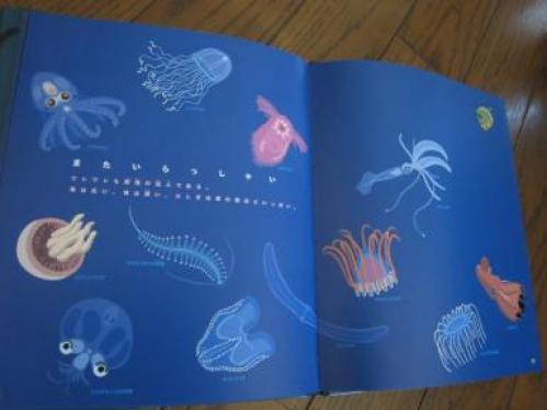 深海生物の絵本 | 海のハスノハ☆カシパンまつり - 楽天ブログ