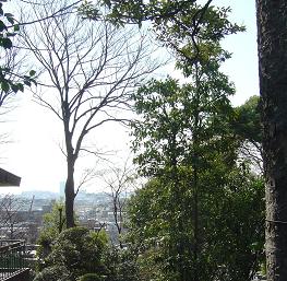 二子玉川 南方