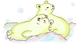 パピヨン姫 と 靴下チワワ