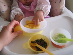 ララ生後9ヶ月 3回食になった離乳食画像 ももの小さな楽しみ 楽天ブログ