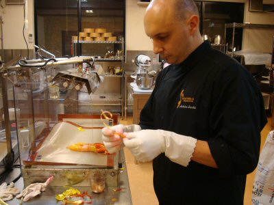 sucre01.jpg