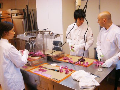 sucre04.jpg