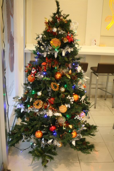 sapain de noel01.jpg