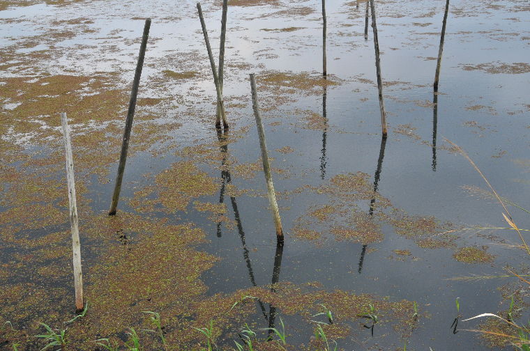 pict0013.jpg