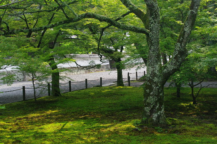 pict0033.jpg