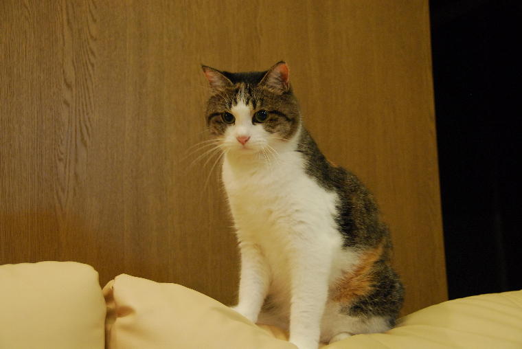 pict0044.jpg