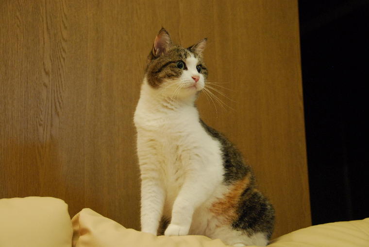 pict0047.jpg