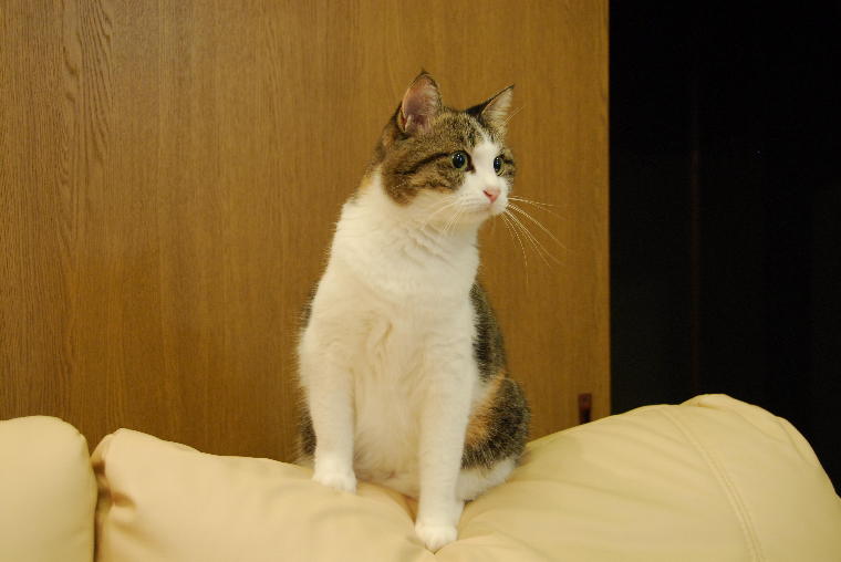 pict0048.jpg