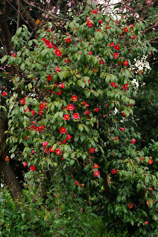 pict0003.jpg