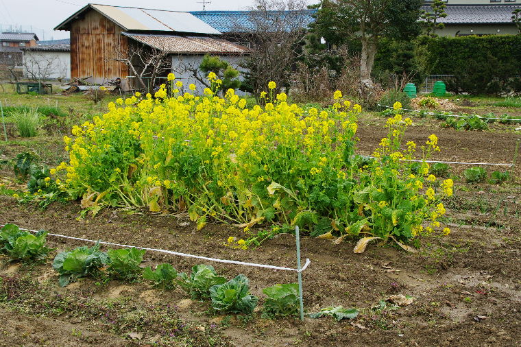 pict0005.jpg