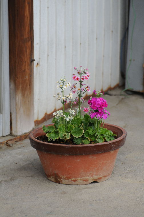 pict0011.jpg