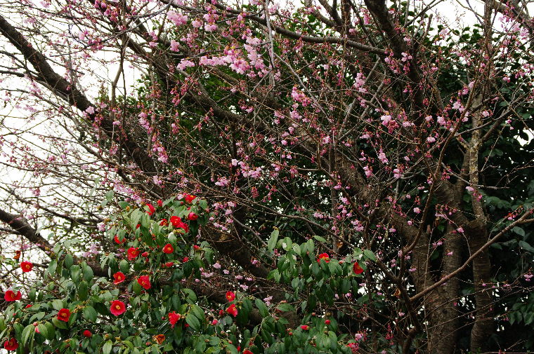 pict0000.jpg