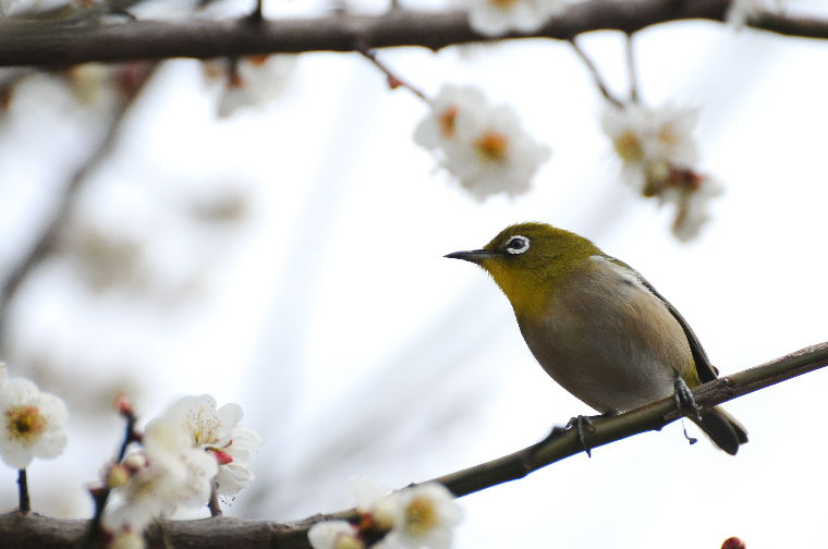 pict0011.jpg