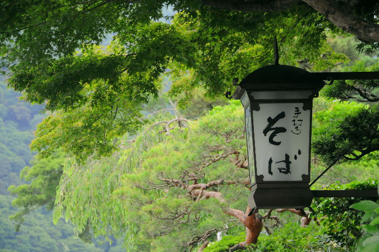 pict0009.jpg