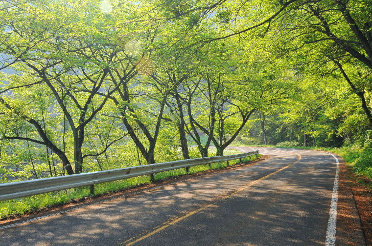 pict0018.jpg