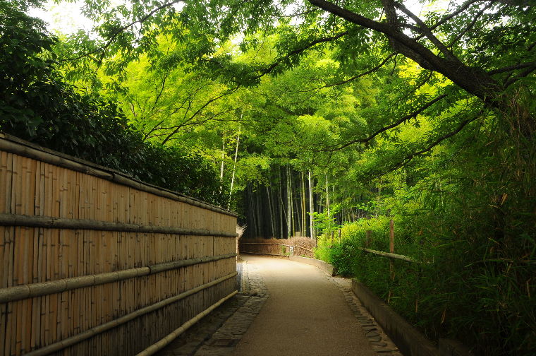 pict0016.jpg