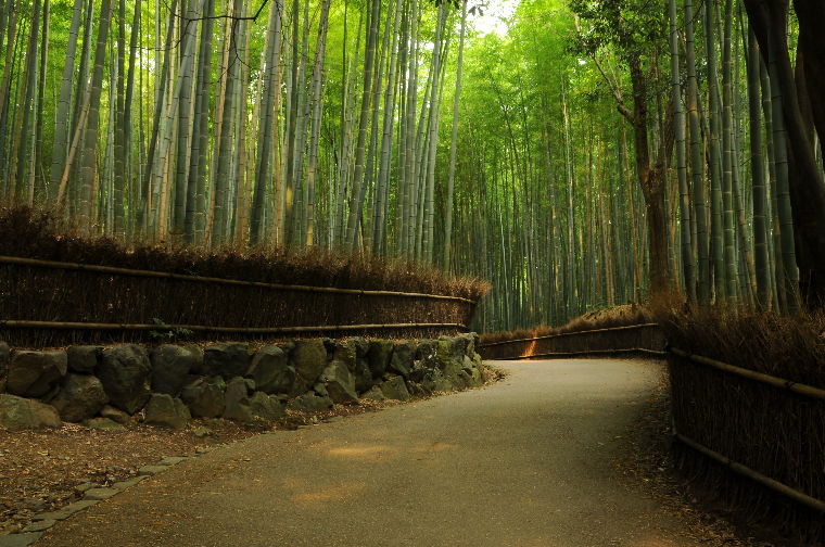 pict0019.jpg