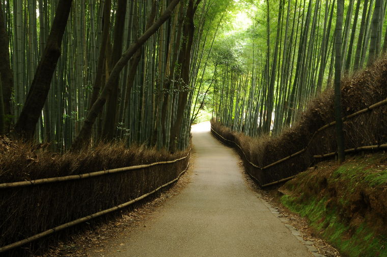 pict0020.jpg
