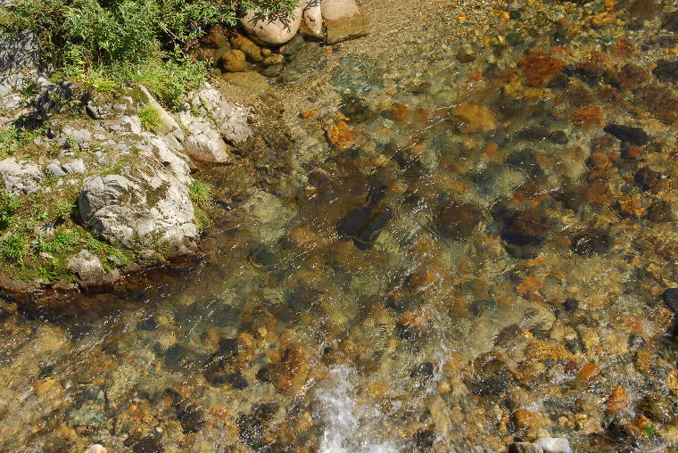 pict0001.jpg