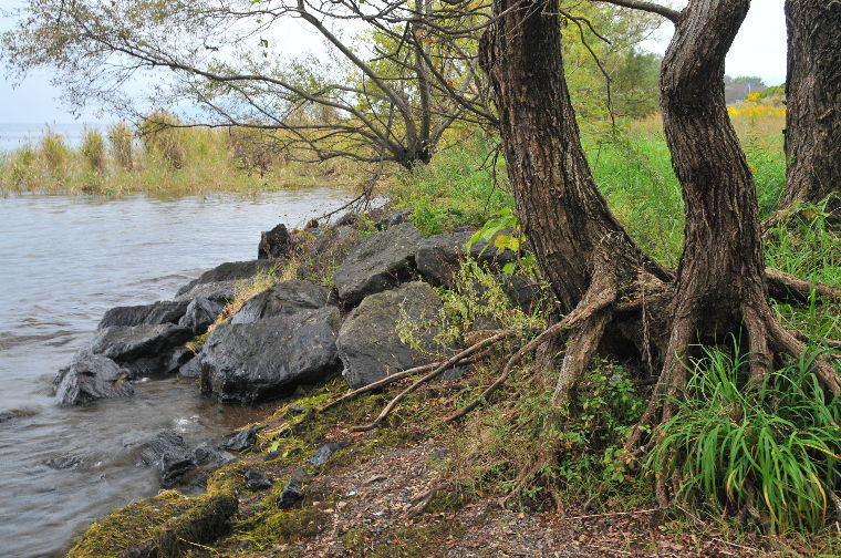 pict0006.jpg