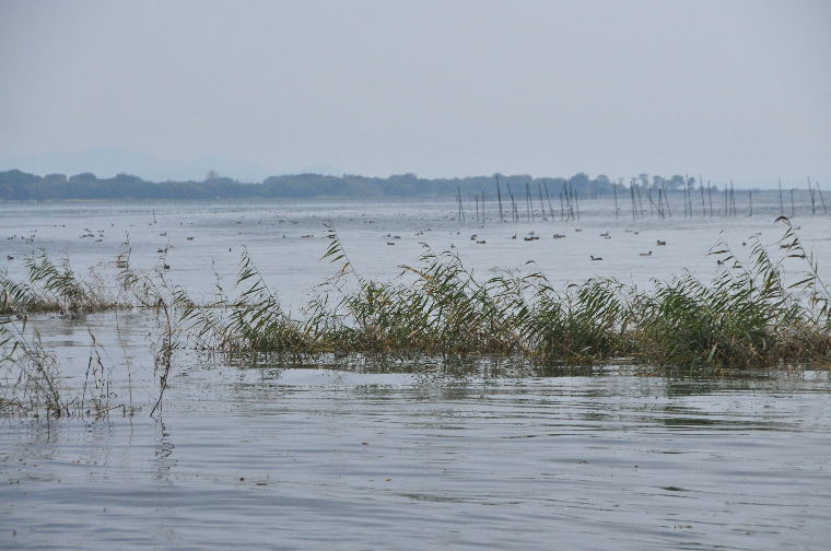 pict0009.jpg