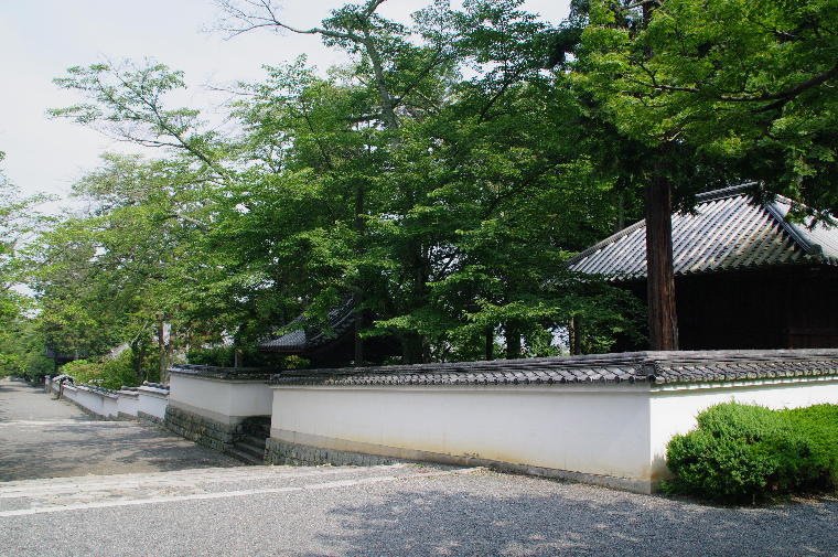 pict0029.jpg
