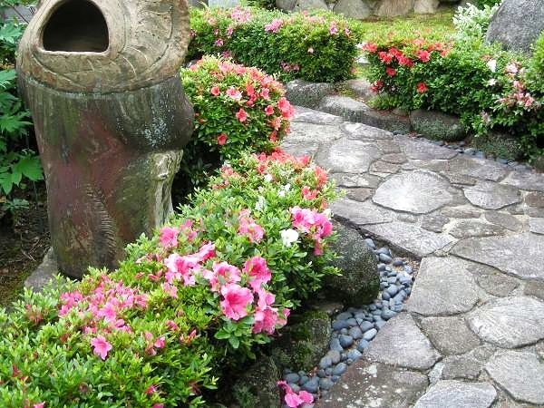 庭のツツジ その２ ジュラのお散歩花日記 楽天ブログ