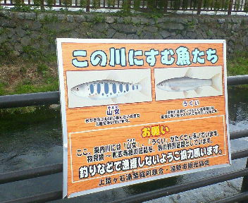 遠野の川魚.jpg