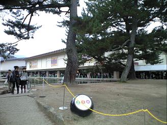 nara 014.jpg