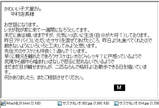 レオくん