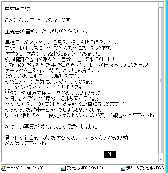 アクセルくん
