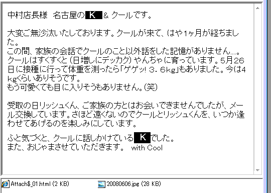 クールくん
