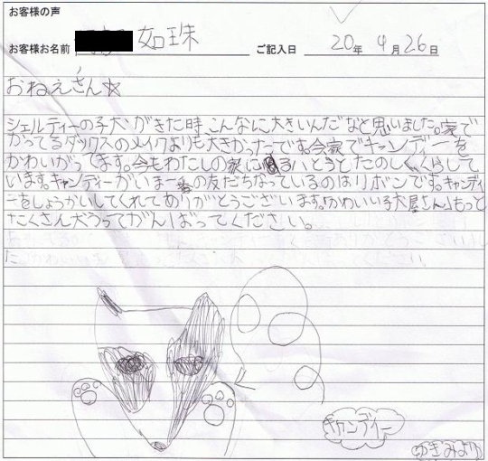 キャンディちゃん