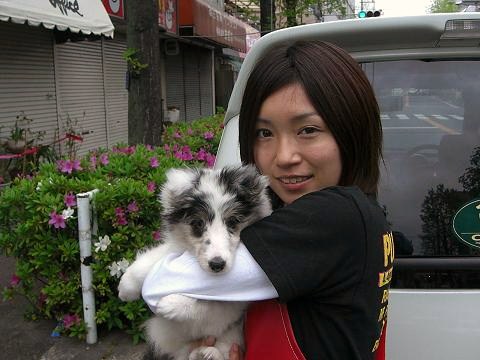 キャンディちゃん